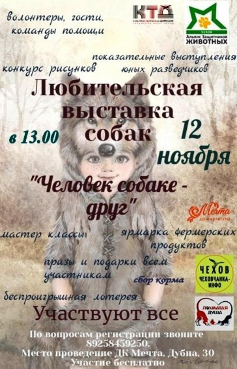 Большой собачий праздник устраивают в городском округе Чехов | 11.10.2022 |  Чехов - БезФормата