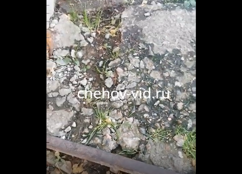 Халтурный ремонт «с озеленением» высмеяла жительница одного из домов ...