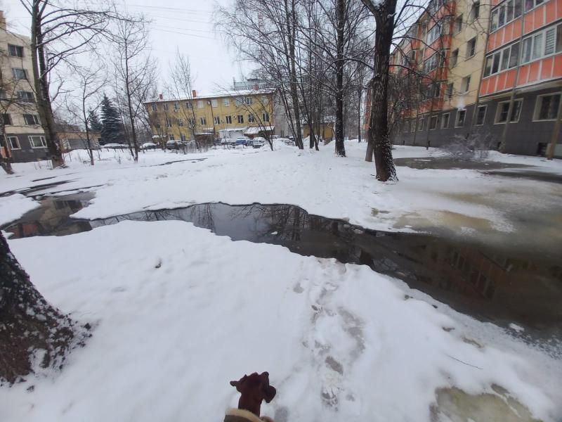 Выборы в чехове 2024. Чеховский дворик. Чехов вид Полиграфистов лужи 2014.