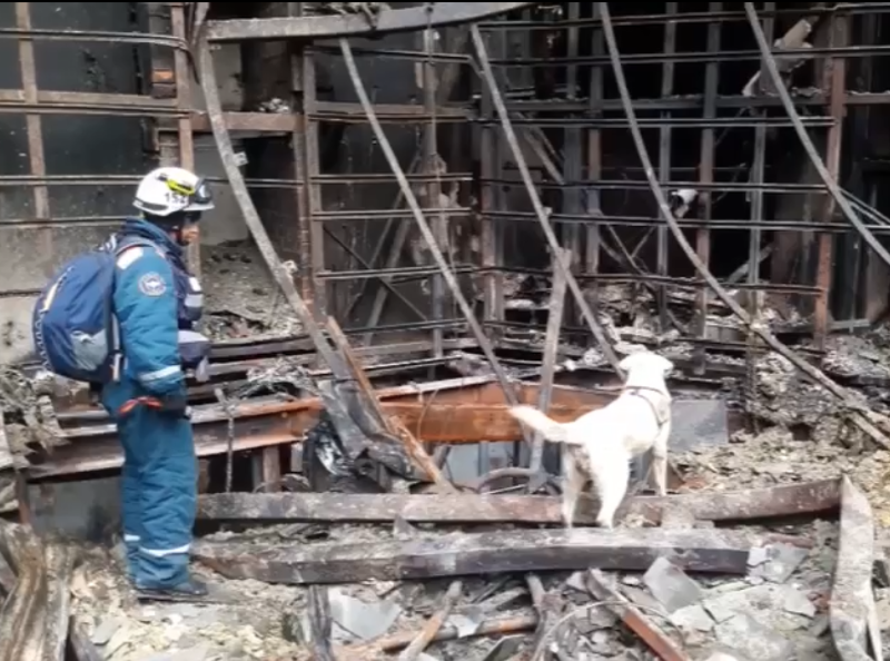 Видео потерпевших крокус сити